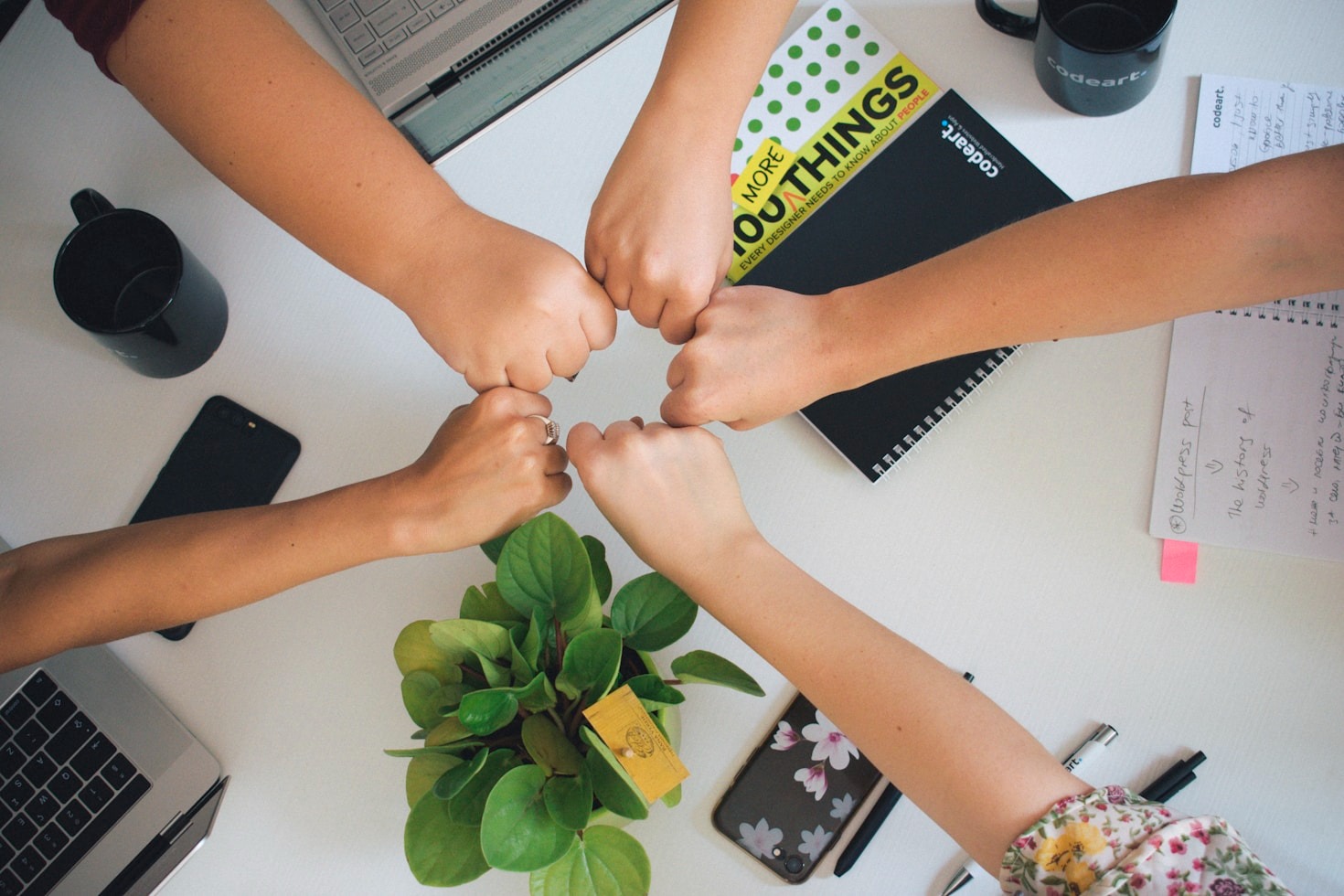 Essential Software Tools For Growing Businesses